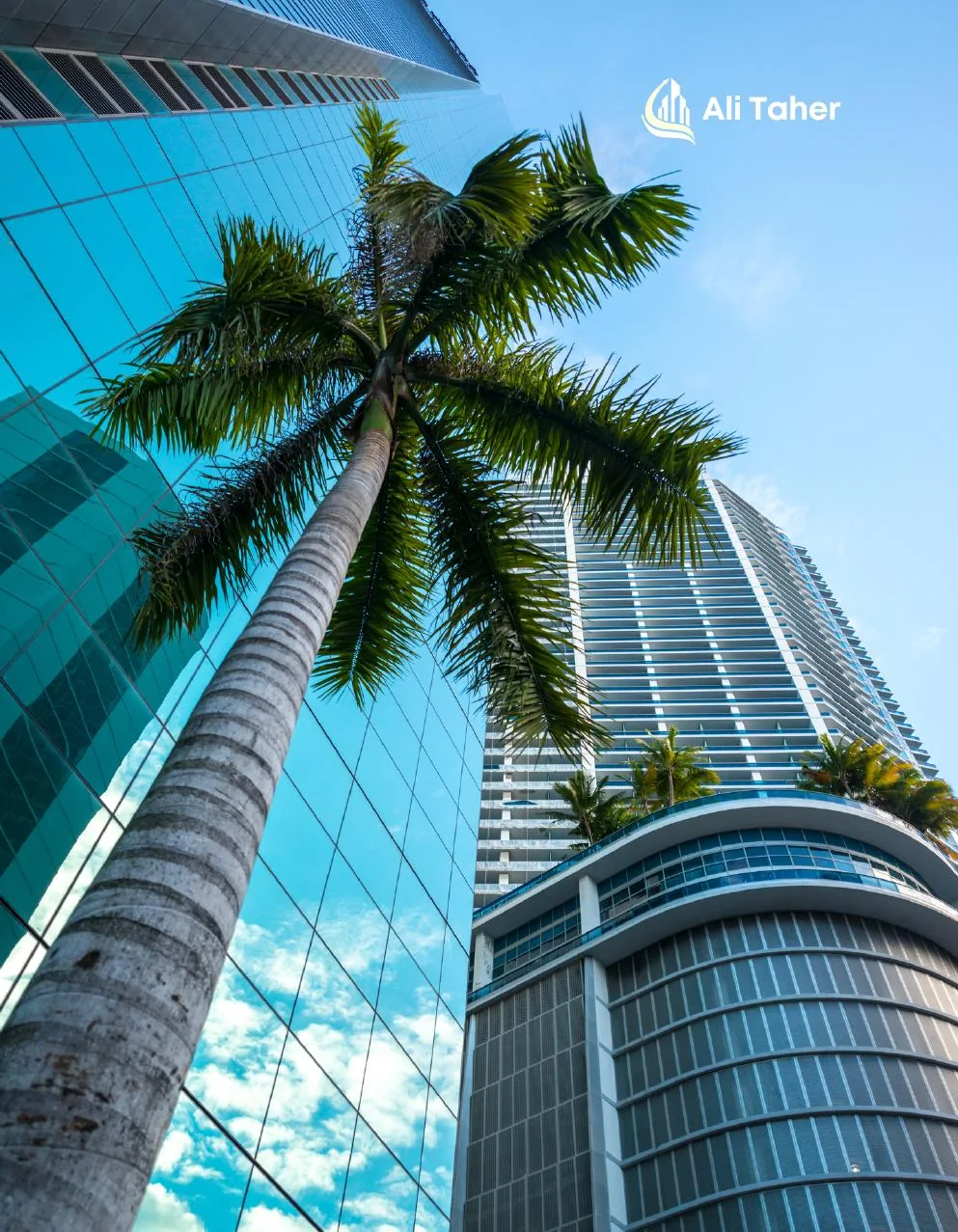 Dubai modern towers and palm trees